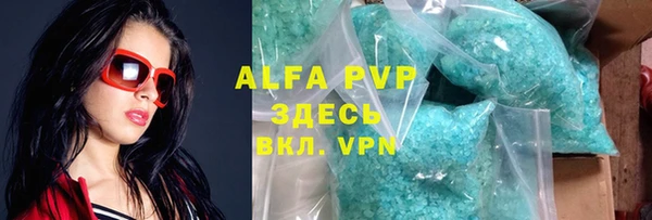 прущие грибы Армянск