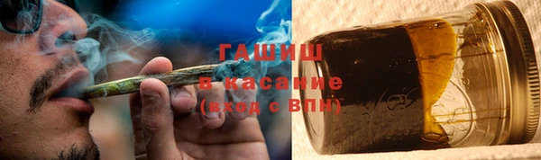 сатива Аркадак