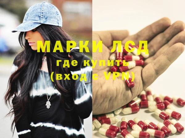 прущие грибы Армянск