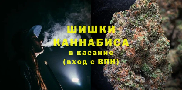 сатива Аркадак