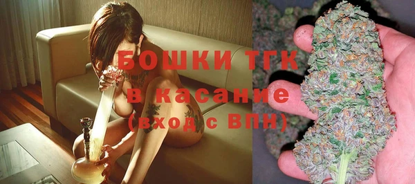 прущие грибы Армянск