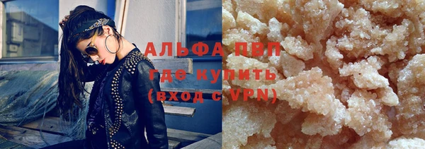прущие грибы Армянск