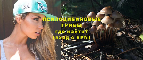 прущие грибы Армянск
