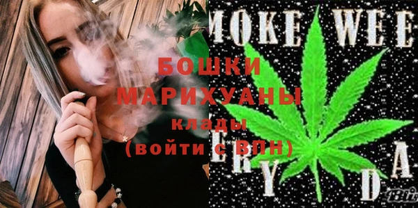 сатива Аркадак