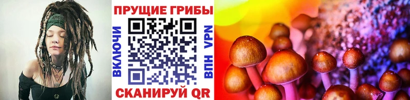 Купить где  Сысерть  Псилоцибиновые грибы ЛСД 